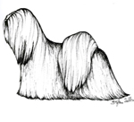 images/Razze/Sezione3/Lhasa_Apso/thumb_Lhasa Apso.jpg